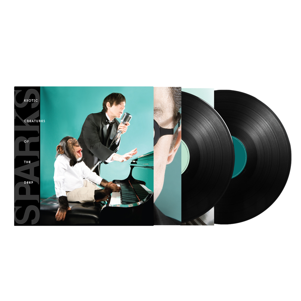 Vinyl record album cover featuring two musicians performing, with vinyl records displayed alongside.